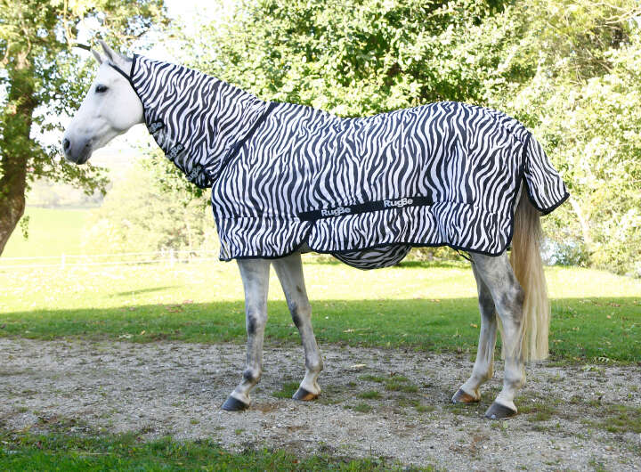 Covalliero Fliegendecke RugBe Zebra mit Halsteil